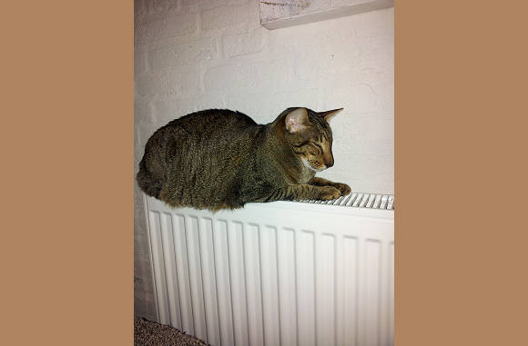 Alexa houdt het bij warm met dit weer