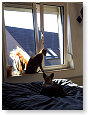 Hier is het leuk