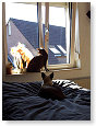 Mogen we een x in de slaapkamer