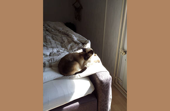 Op het bed