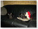 Kerstfeest 2002