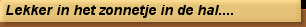 Lekker in het zonnetje in de hal....
