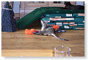 Spelen..................