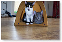 Samen in de tent.