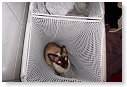 Zodra Cailin de kans heeft, springt ze in de wasmand.