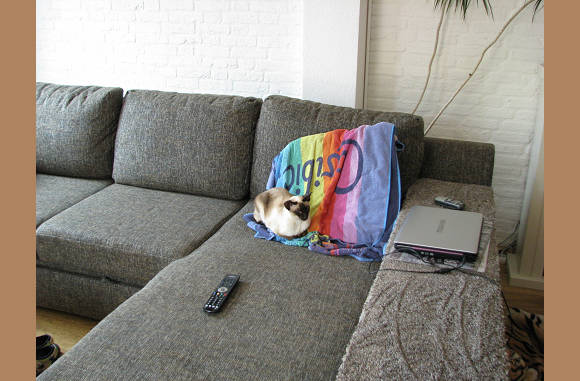Strand poes