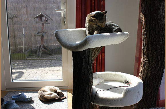 Beetje wassen
