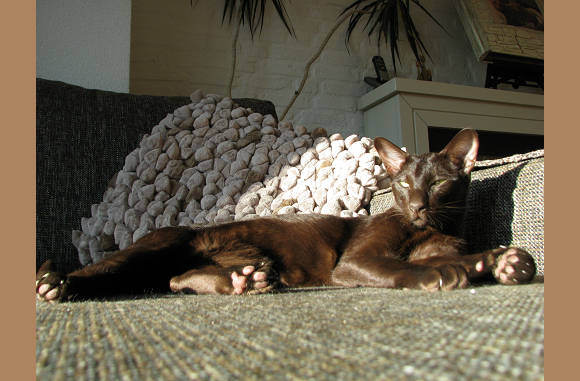 Lady in de zon