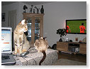 He voetbal is op