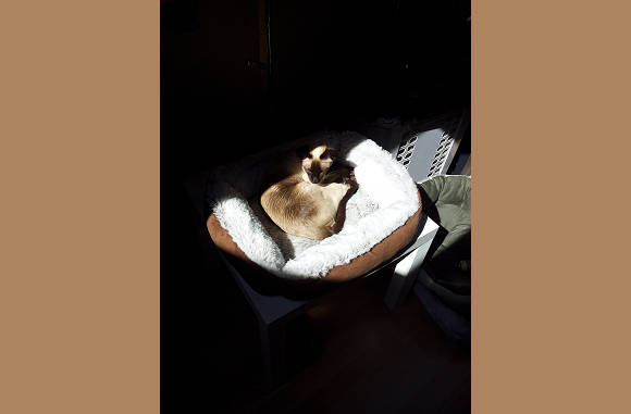 Ook Cailin zoekt de zon op