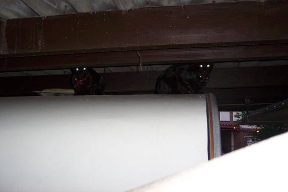 Samen op de caravan van de buren.....