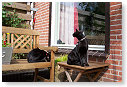 Neem toch een muis.....