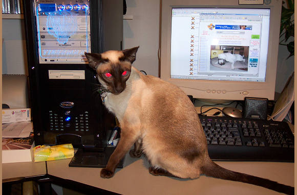 Ik wil ook pc'en.......