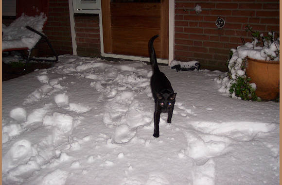 Stapje voor stapje......
