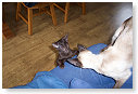 Ken net.....  Hoi Cailin......