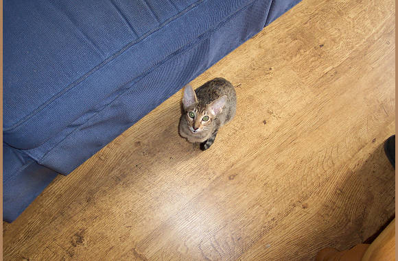 Mama, zullen we spelen.......