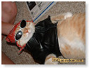 Stoere biker.....