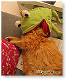 Kermit???
