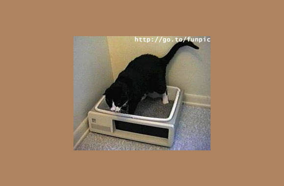 De nieuwe Compaq...