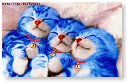 Hoezo blauw als een aap???