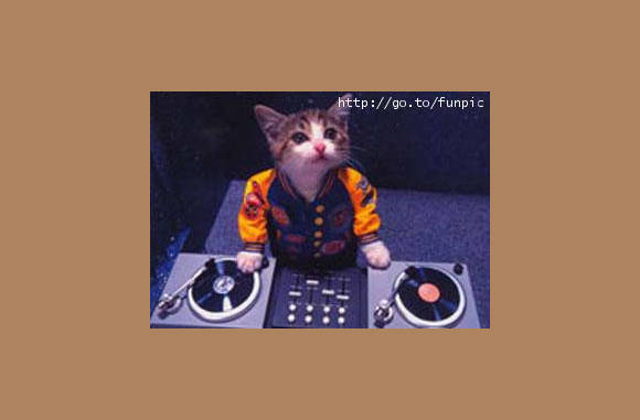 Dj Cat.................