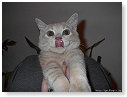 Geen kus he..................