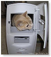 Ja, het is de juiste pc kast...............