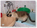 Slokje water....................