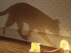 He een feessie!!