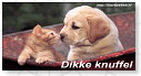 Ik vind jou lief!!
