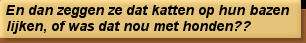 En dan zeggen ze dat katten op hun bazen lijken, of was dat nou met honden??