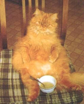 Dit is mijn soep!!!