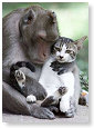 Hellup, hij is verliefd...............