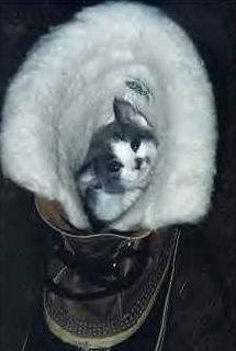 Lekker warm hier...........