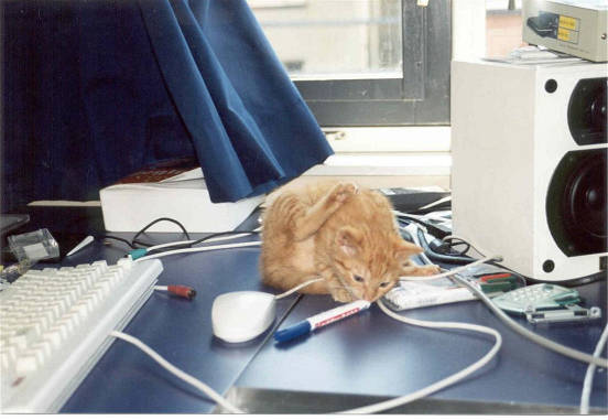 Lekker zo'n muis..................