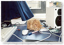 Lekker zo'n muis..................