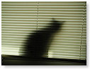 Me and my shadow.......................