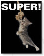 Super..................................