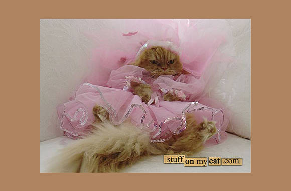 Ballerina...
