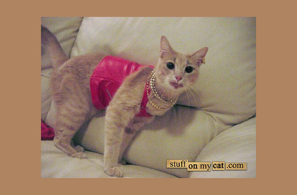 Luxe uitgaans kleding...