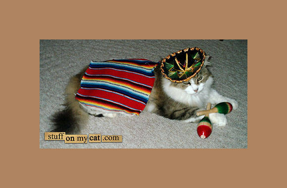Mexico here i come...