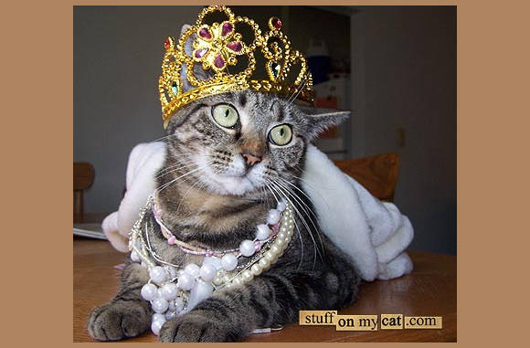 Royal outfit...