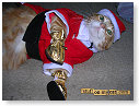 Kerst is erg in dit jaar...