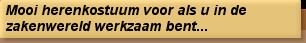 Mooi herenkostuum voor als u in de zakenwereld werkzaam bent...
