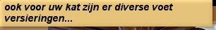 ook voor uw kat zijn er diverse voet versieringen...