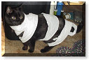 The Mummy returns...