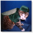 Leuk kostuum, ook voor carnaval...