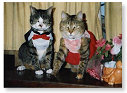 Samen naar het bal....