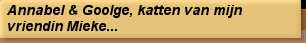 Annabel & Goolge, katten van mijn vriendin Mieke...