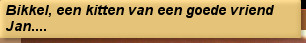 Bikkel, een kitten van een goede vriend Jan....